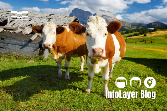 MovingLayers Virtual Shepherd GeoAI Weideüberwachung Almwirtschaft